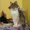 Отзыв от Нинель Свиридова